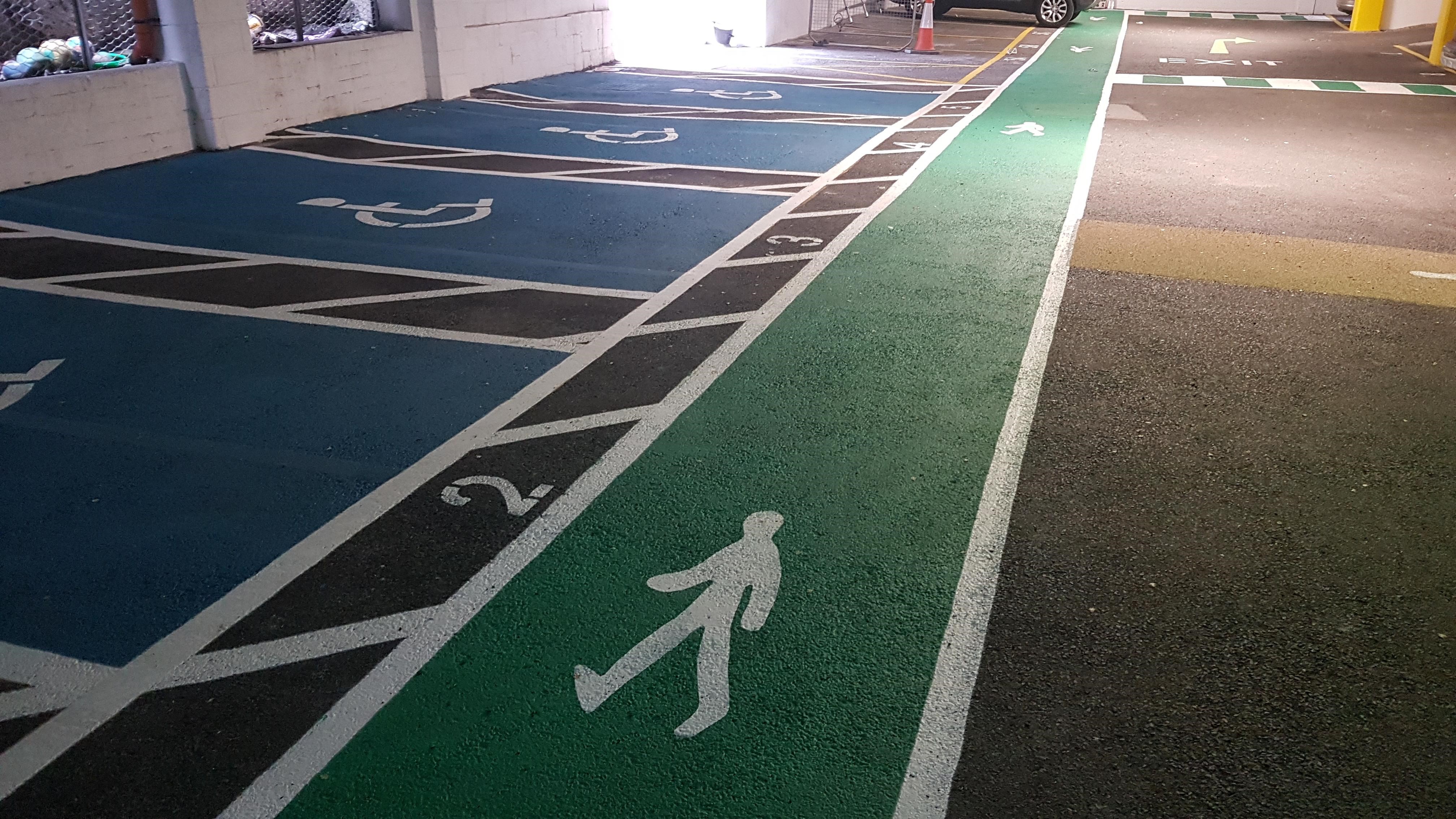 Disabled and Electric Vehicles